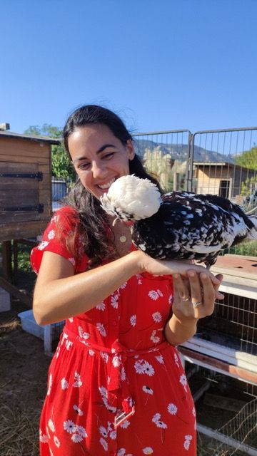 Odoo • une photo avec une légende