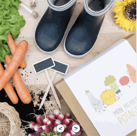Odoo • Image et Texte