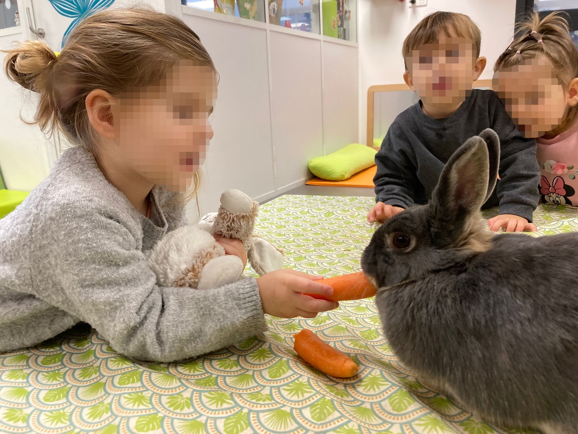 Image de diapositive