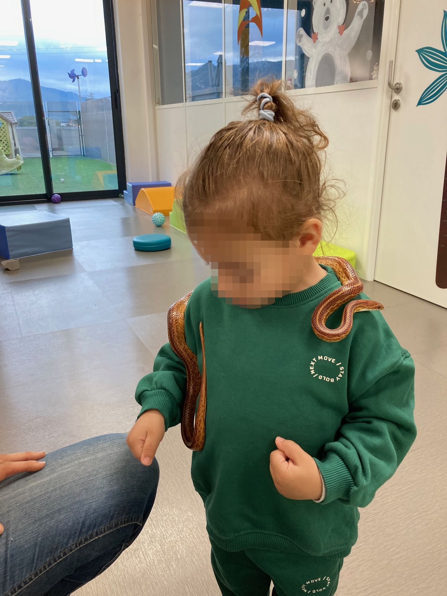 Image de diapositive