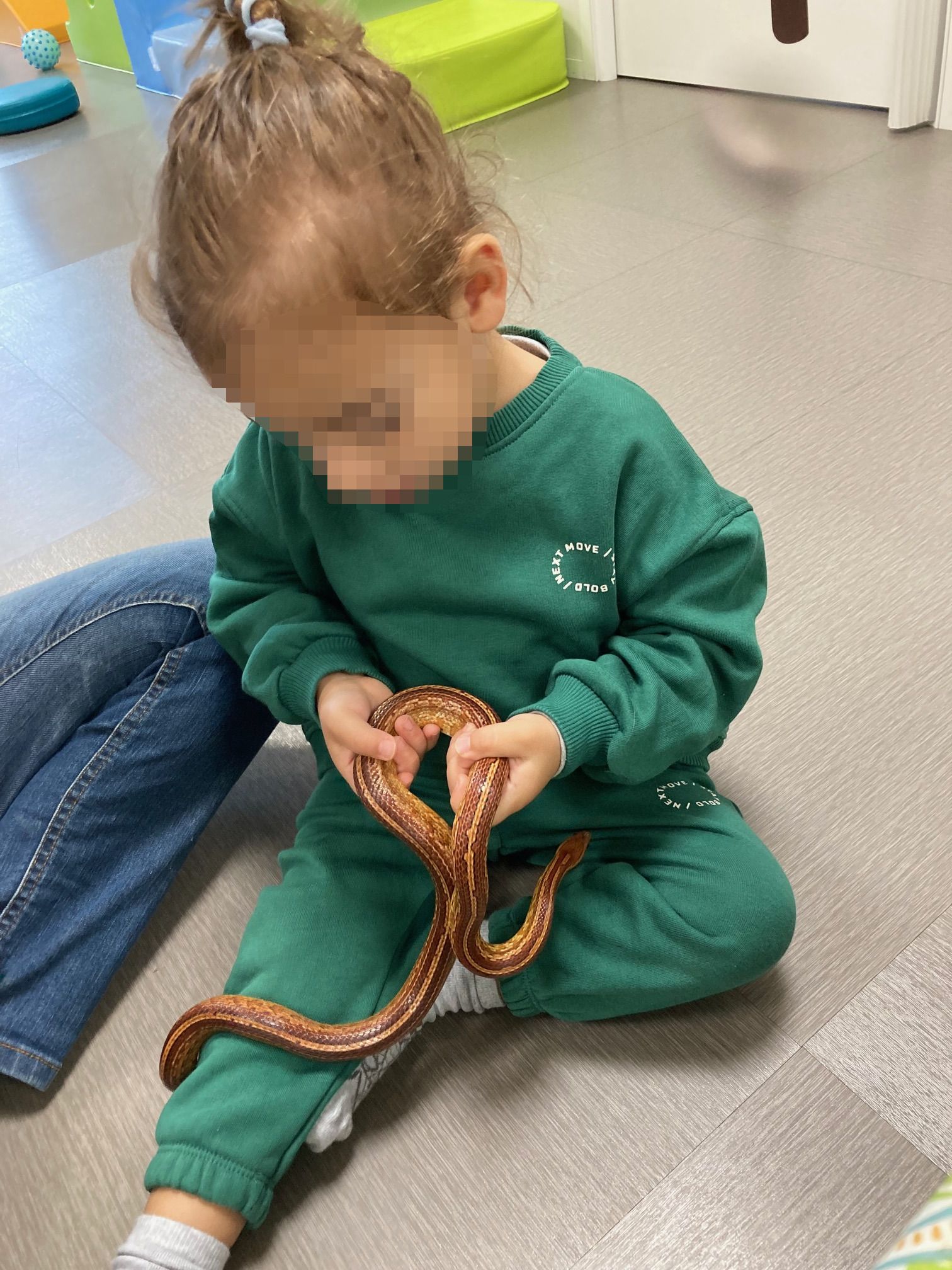 Image de diapositive