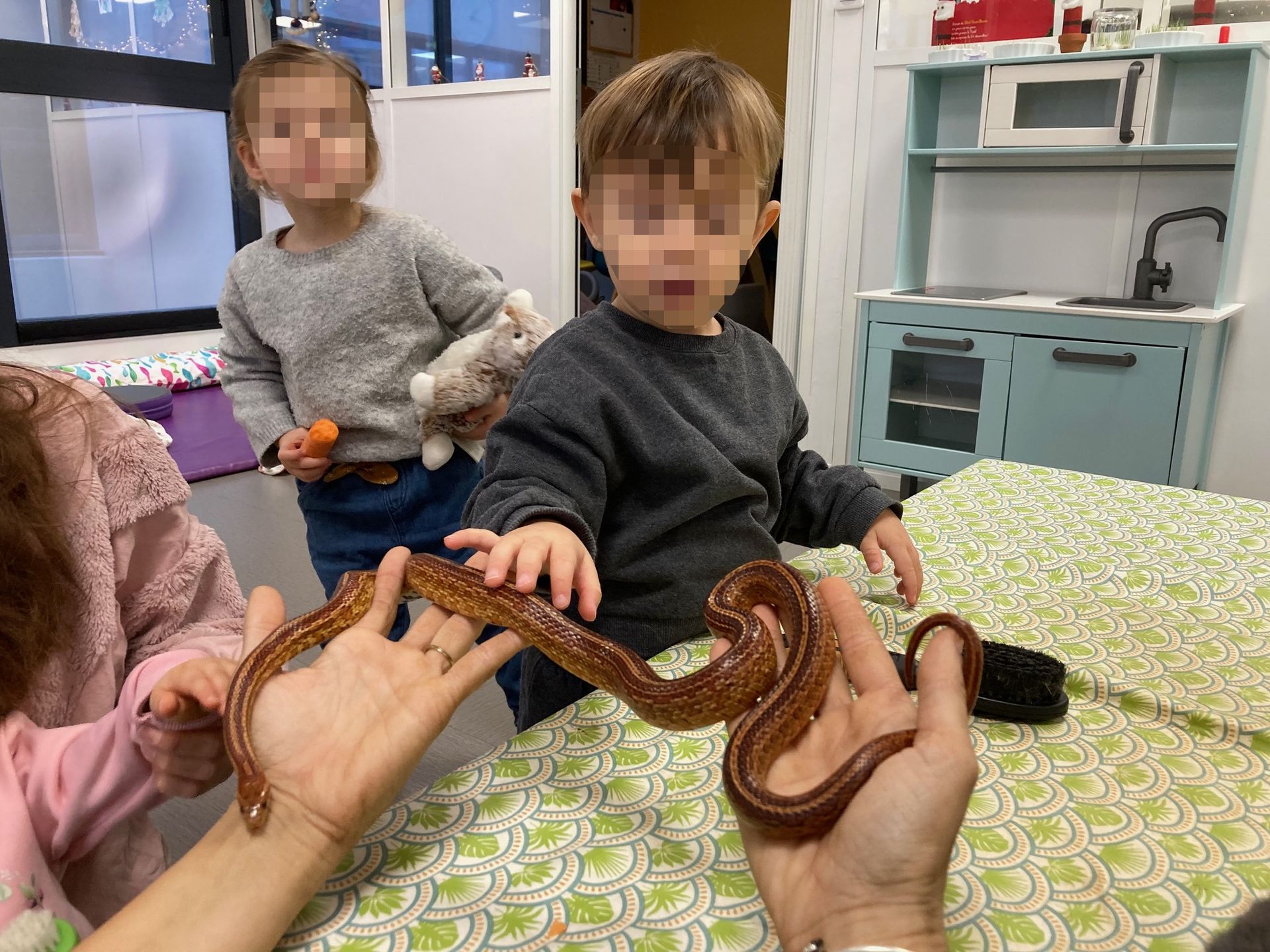 Image de diapositive