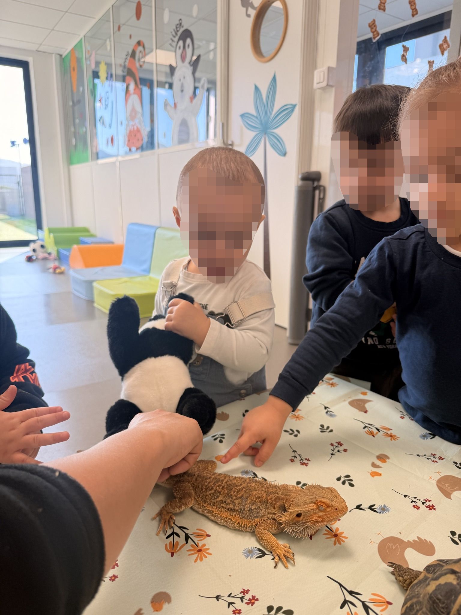 Image de diapositive