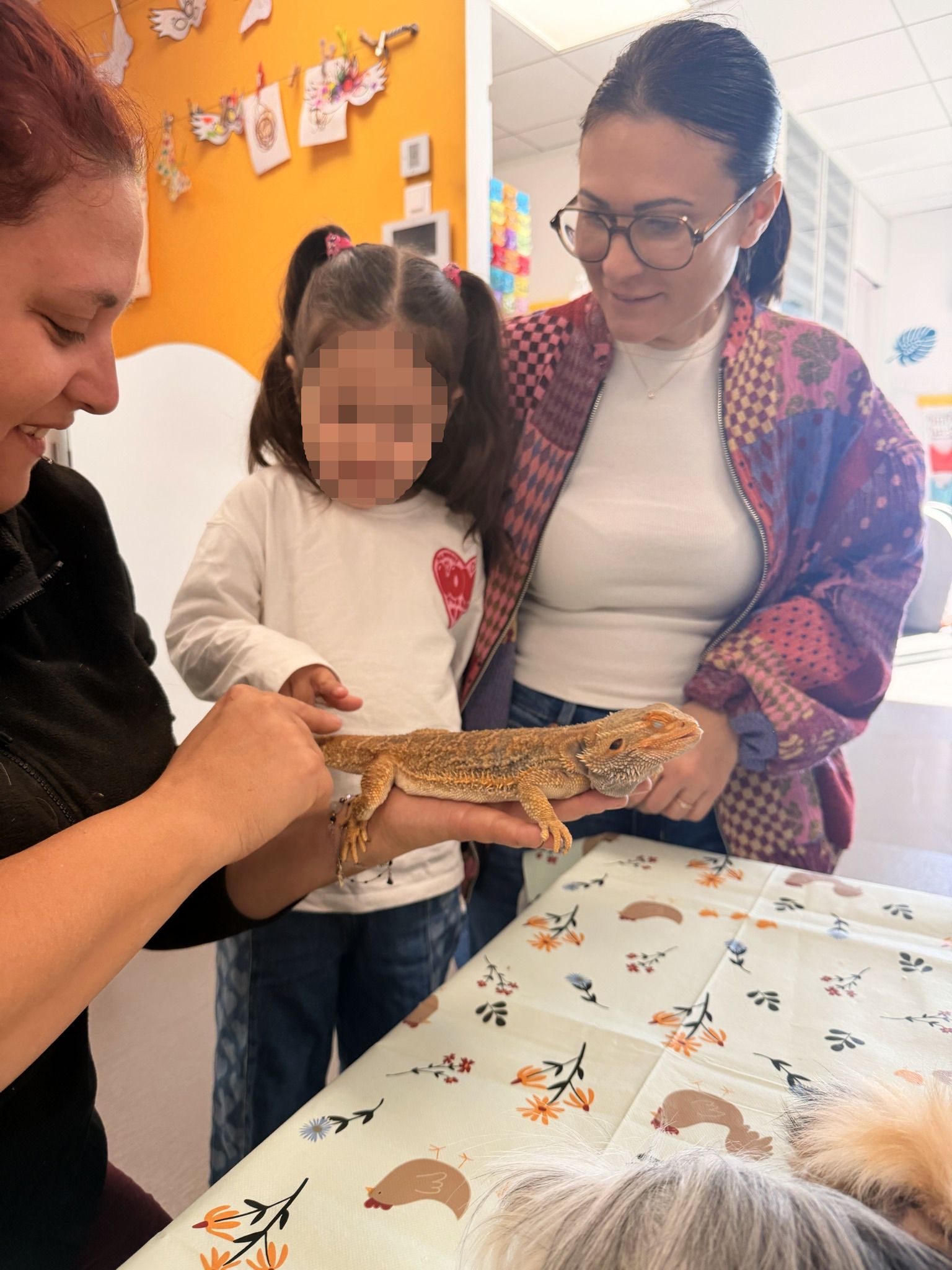 Image de diapositive