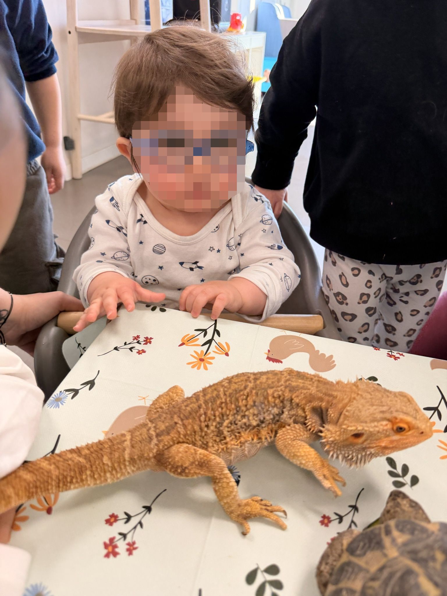 Image de diapositive