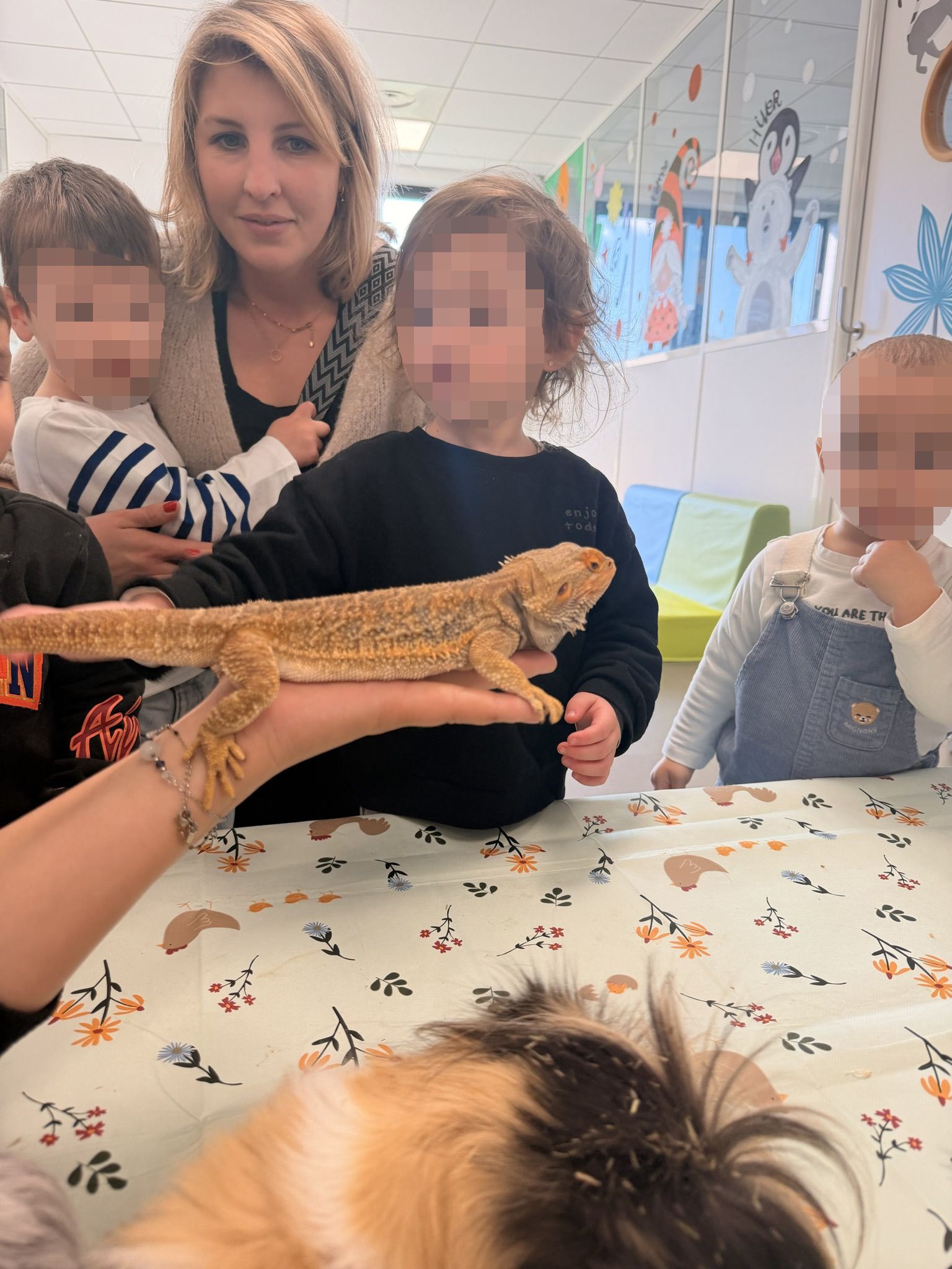 Image de diapositive