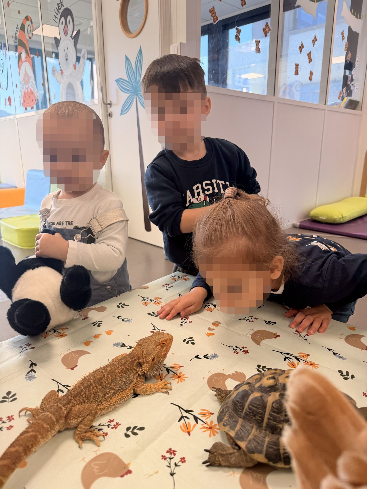 Image de diapositive