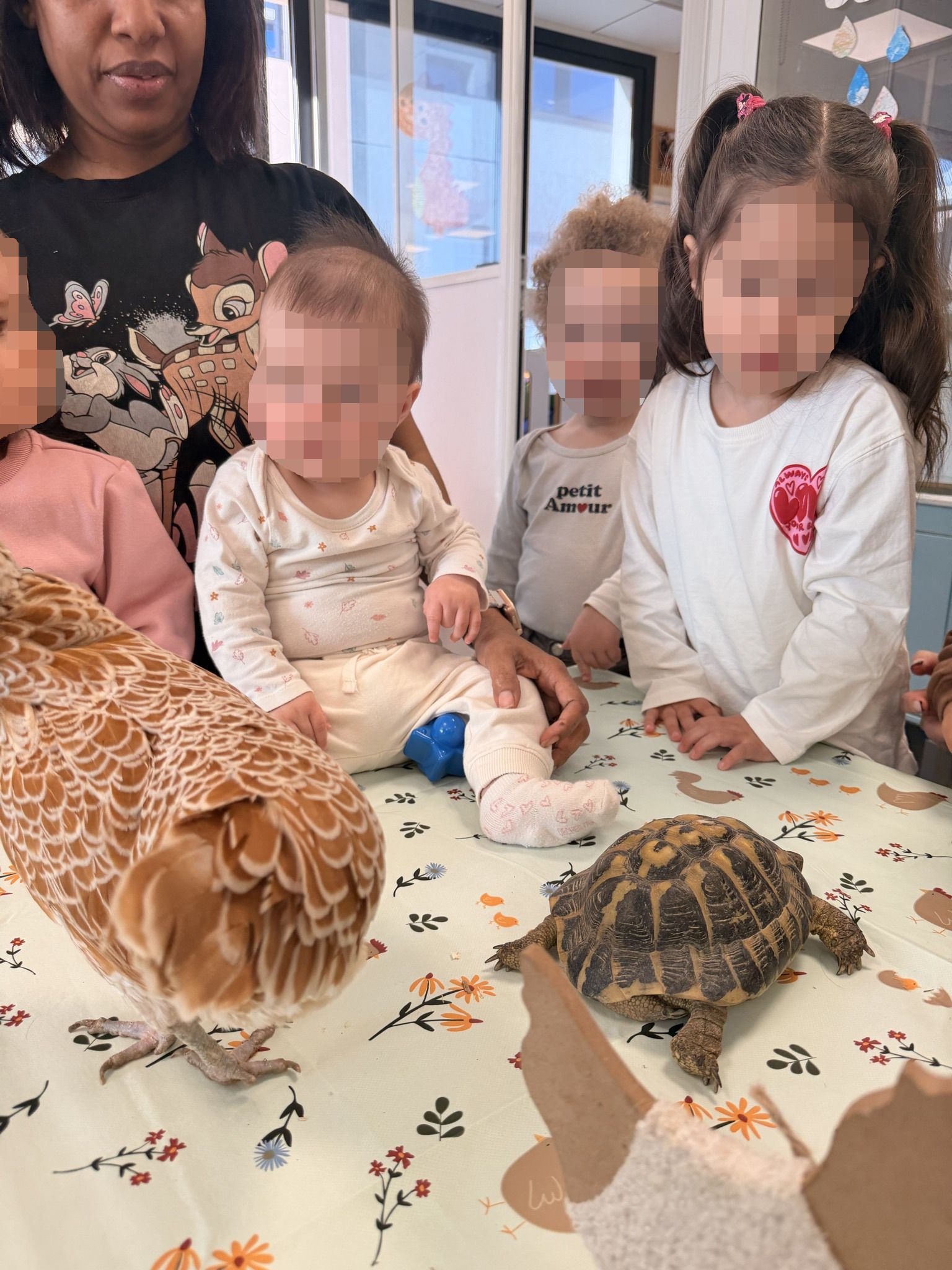 Image de diapositive