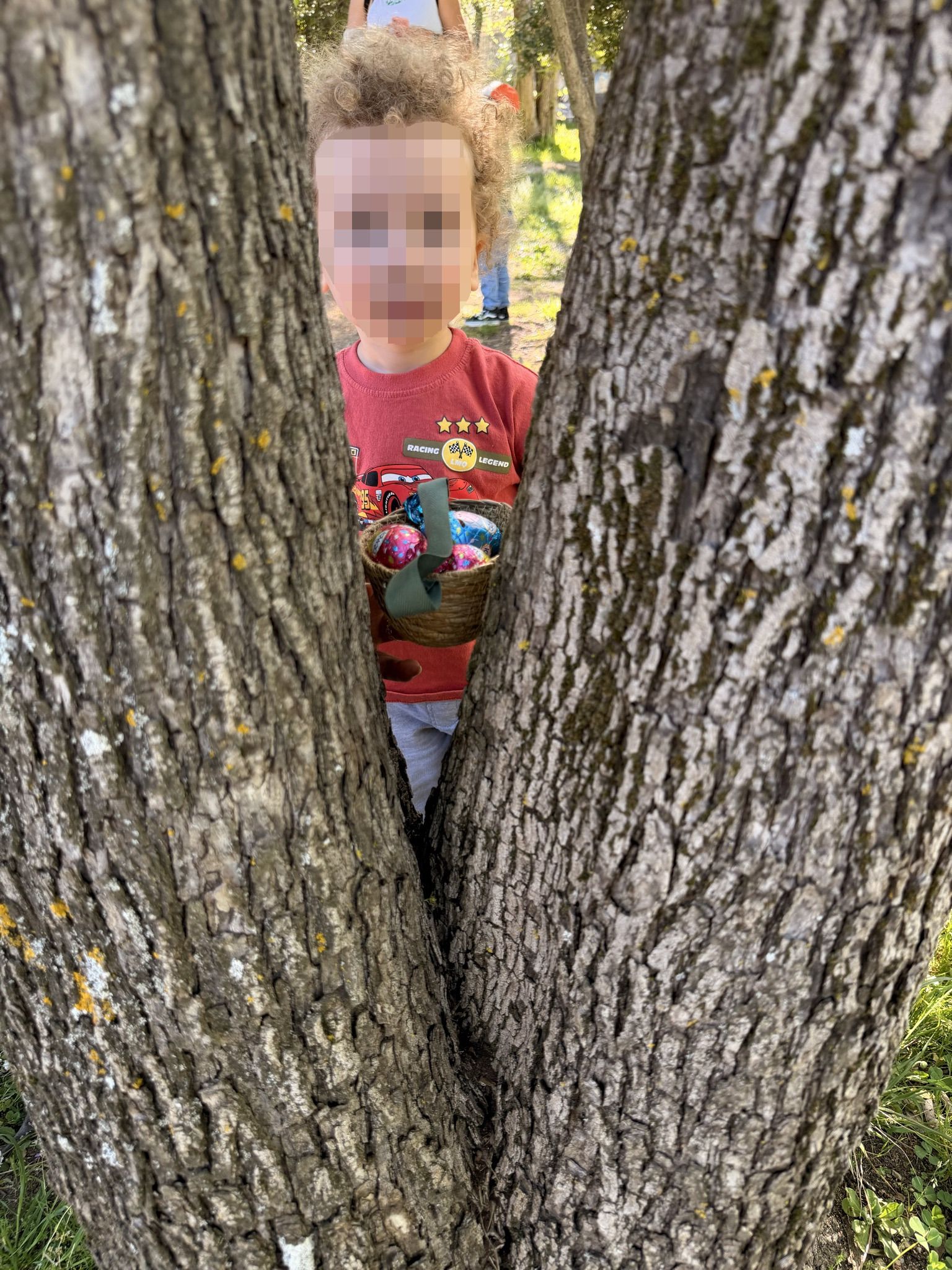 Image de diapositive