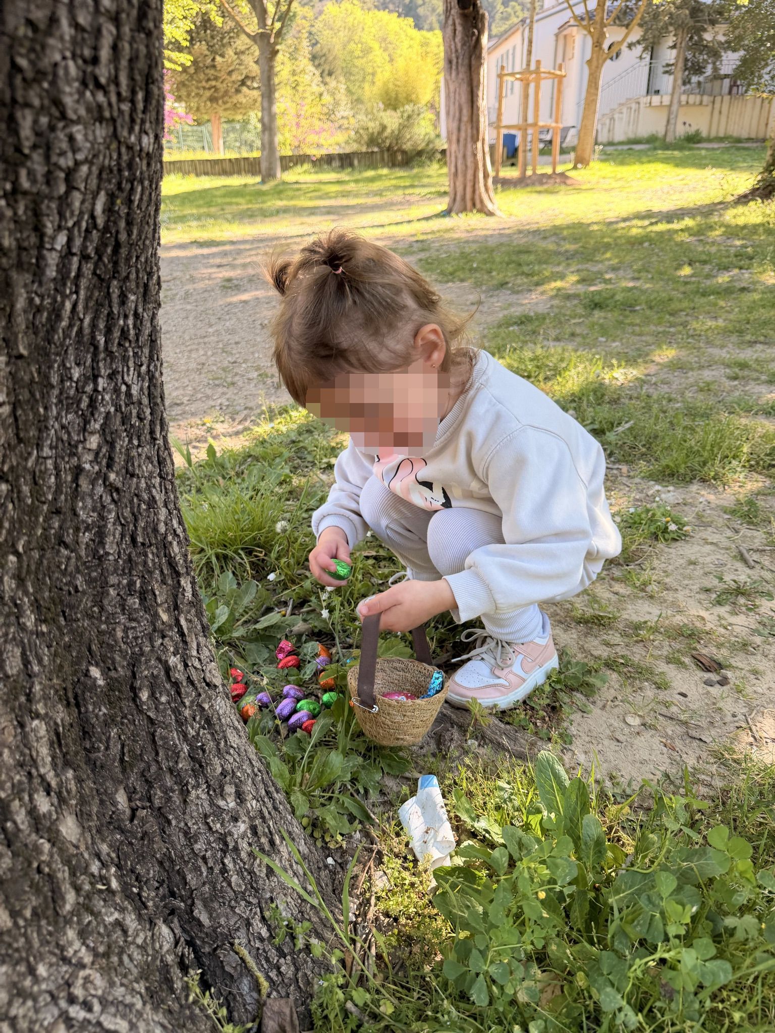 Image de diapositive